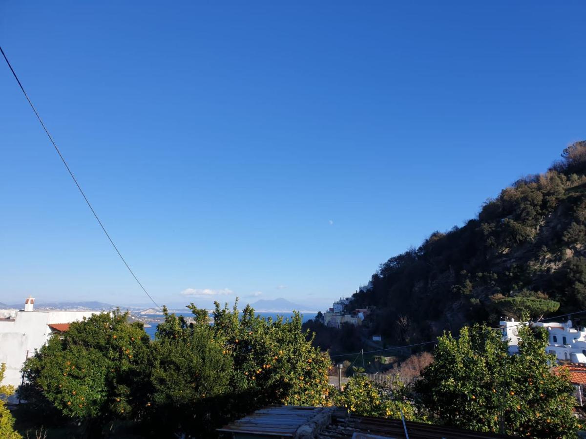 Sweet Home La Chicca Ischia Exterior foto